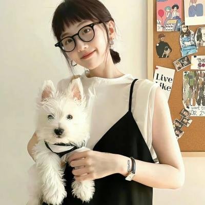 超级情报员麦汉续集